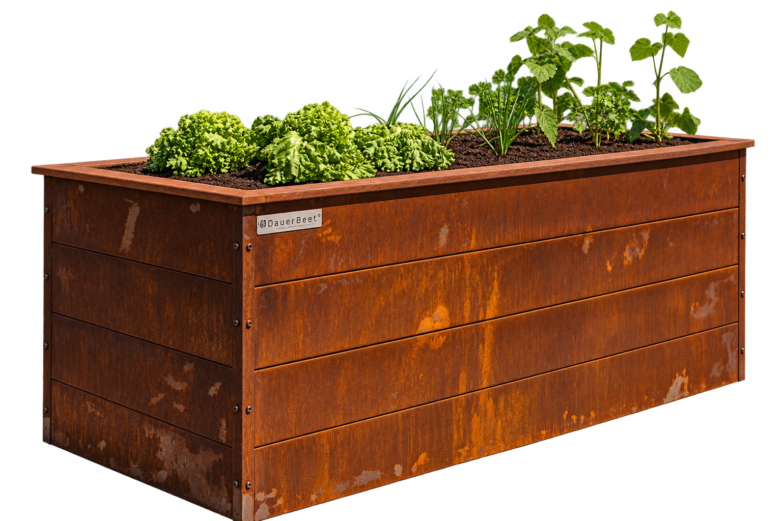 DauerBeet Corten visoka greda